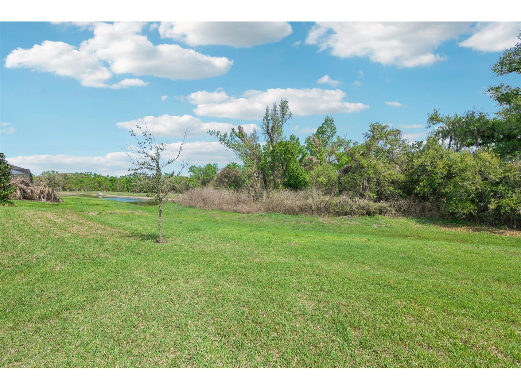 14162 Swiss Bridge Drive Riverview FL 33579 TB8487546 image25