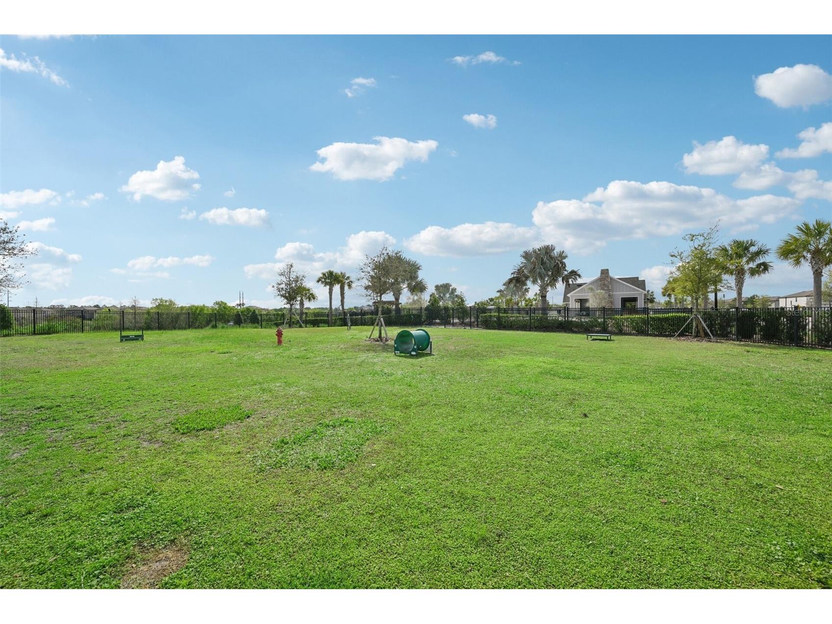 14162 Swiss Bridge Drive Riverview FL 33579 TB8487546 image33
