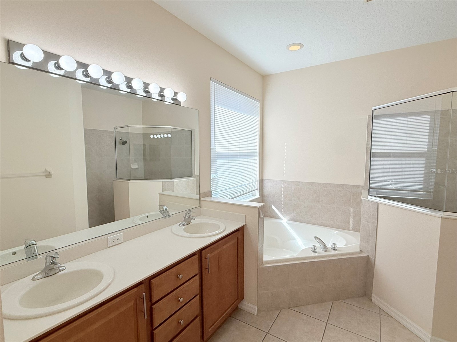 14163 Cattle Egret Place Lakewood Ranch FL 34202 A4678293 image21