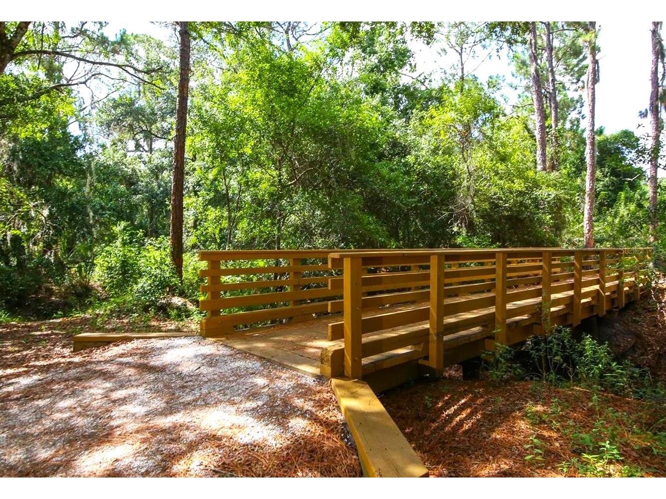 14163 Cattle Egret Place Lakewood Ranch FL 34202 A4678293 image39