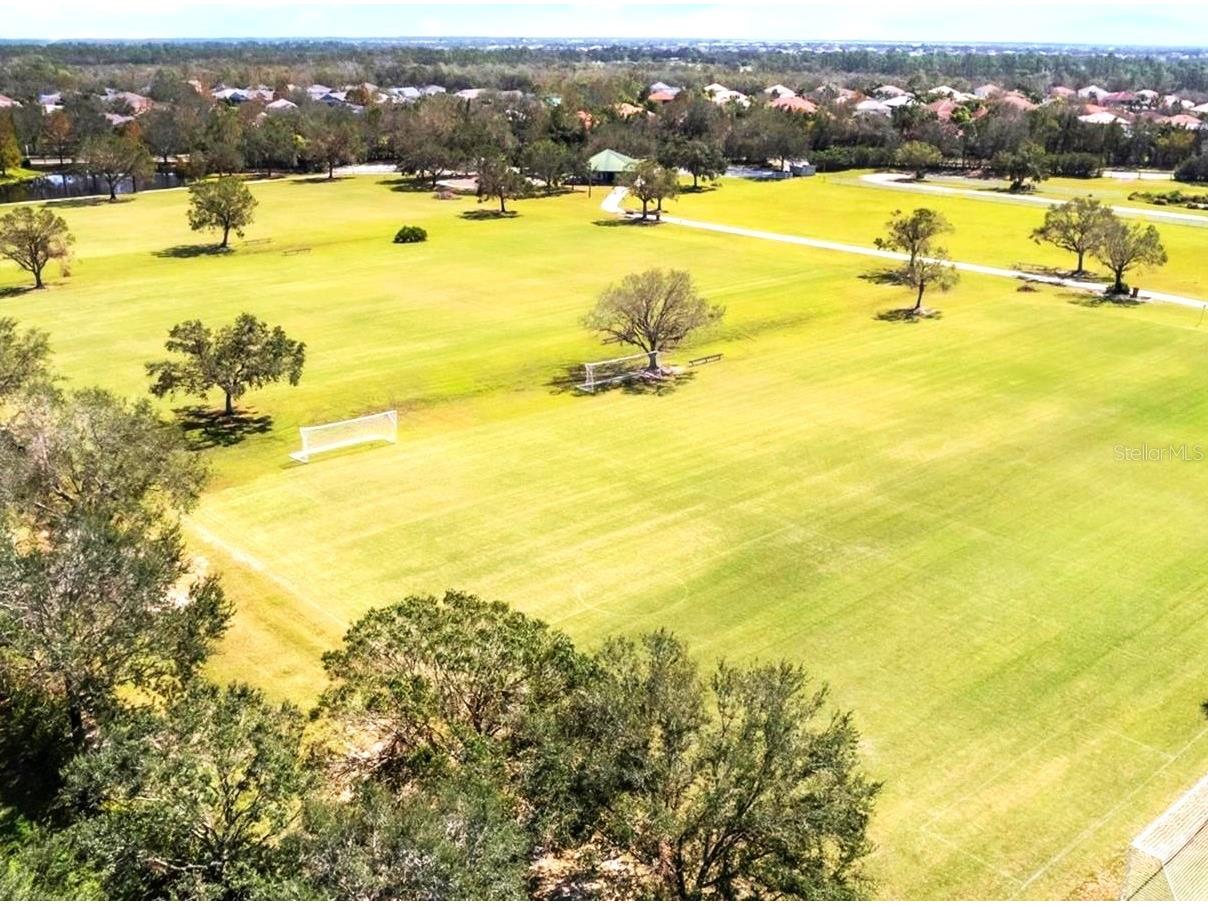 14163 Cattle Egret Place Lakewood Ranch FL 34202 A4678293 image42