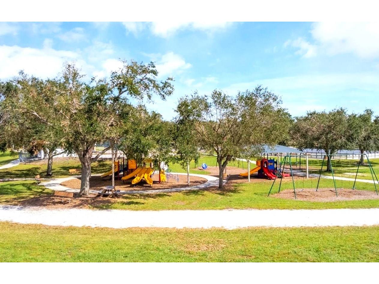 14163 Cattle Egret Place Lakewood Ranch FL 34202 A4678293 image46