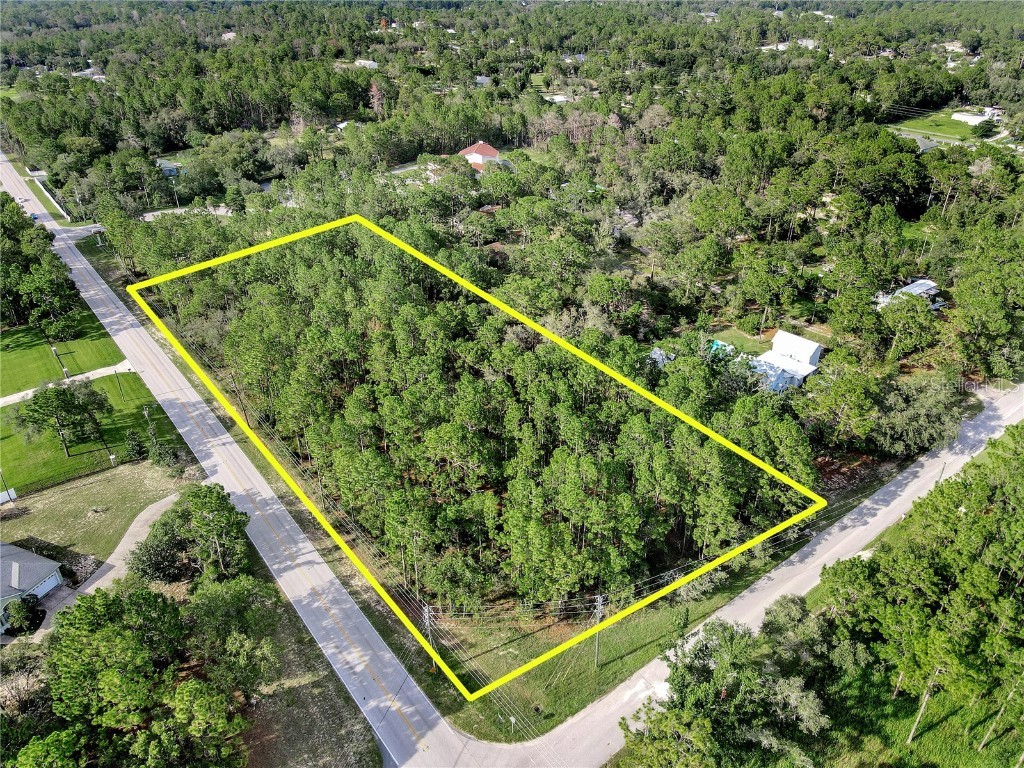 14163 Highgrove Road Spring Hill FL 34609 TB8409072 image1