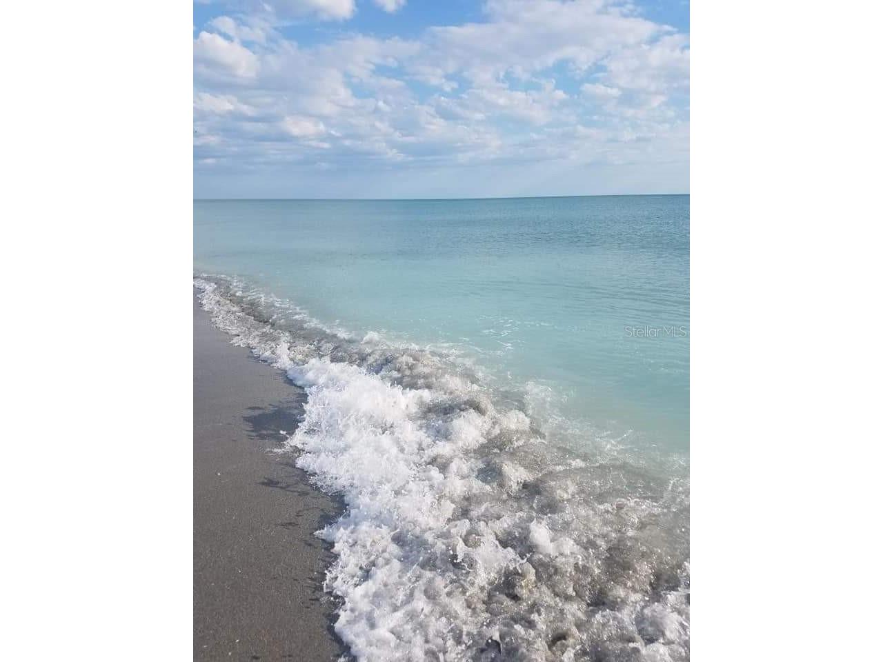 14165 Daniels Avenue Port Charlotte FL 33953 D6134718 image3