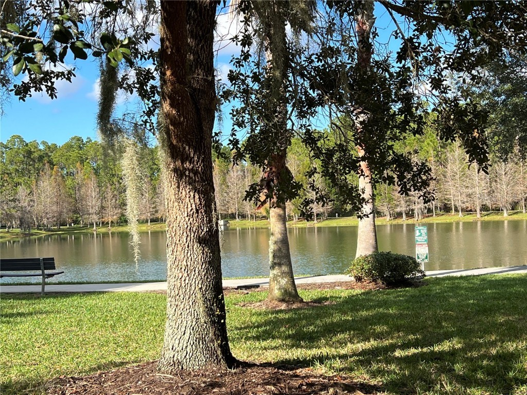 14169 Oasis Cove Boulevard #101 Windermere FL 34786 O6170531 image1