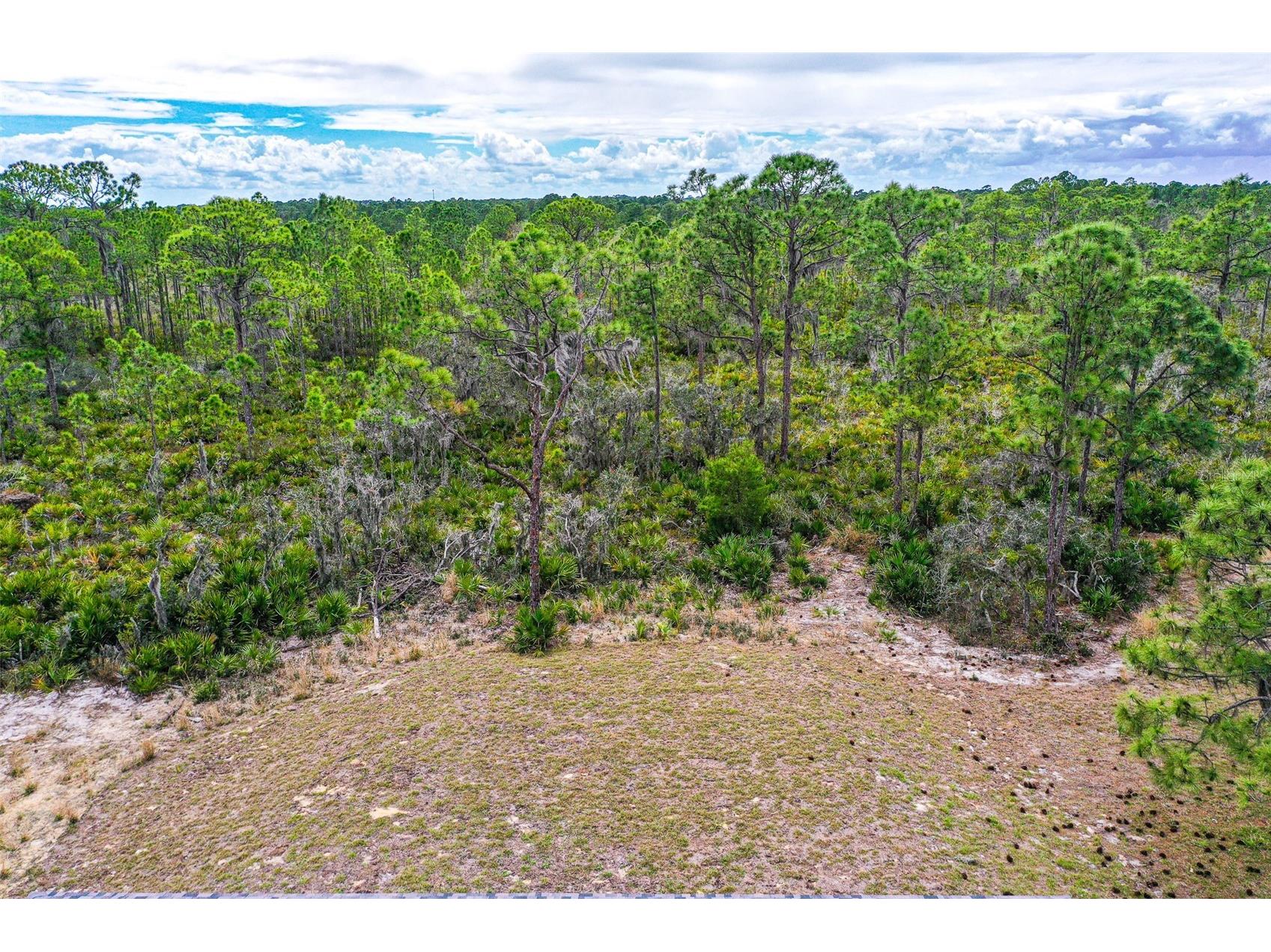 1417 Bittersweet Street Lake Placid FL 33852 L4959171 image22