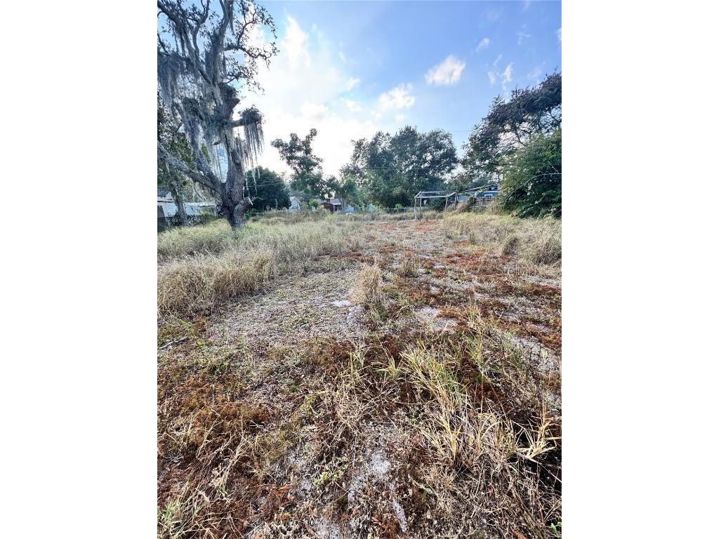 1417 Dolphin Drive Lakeland FL 33801 TB8454721 image24