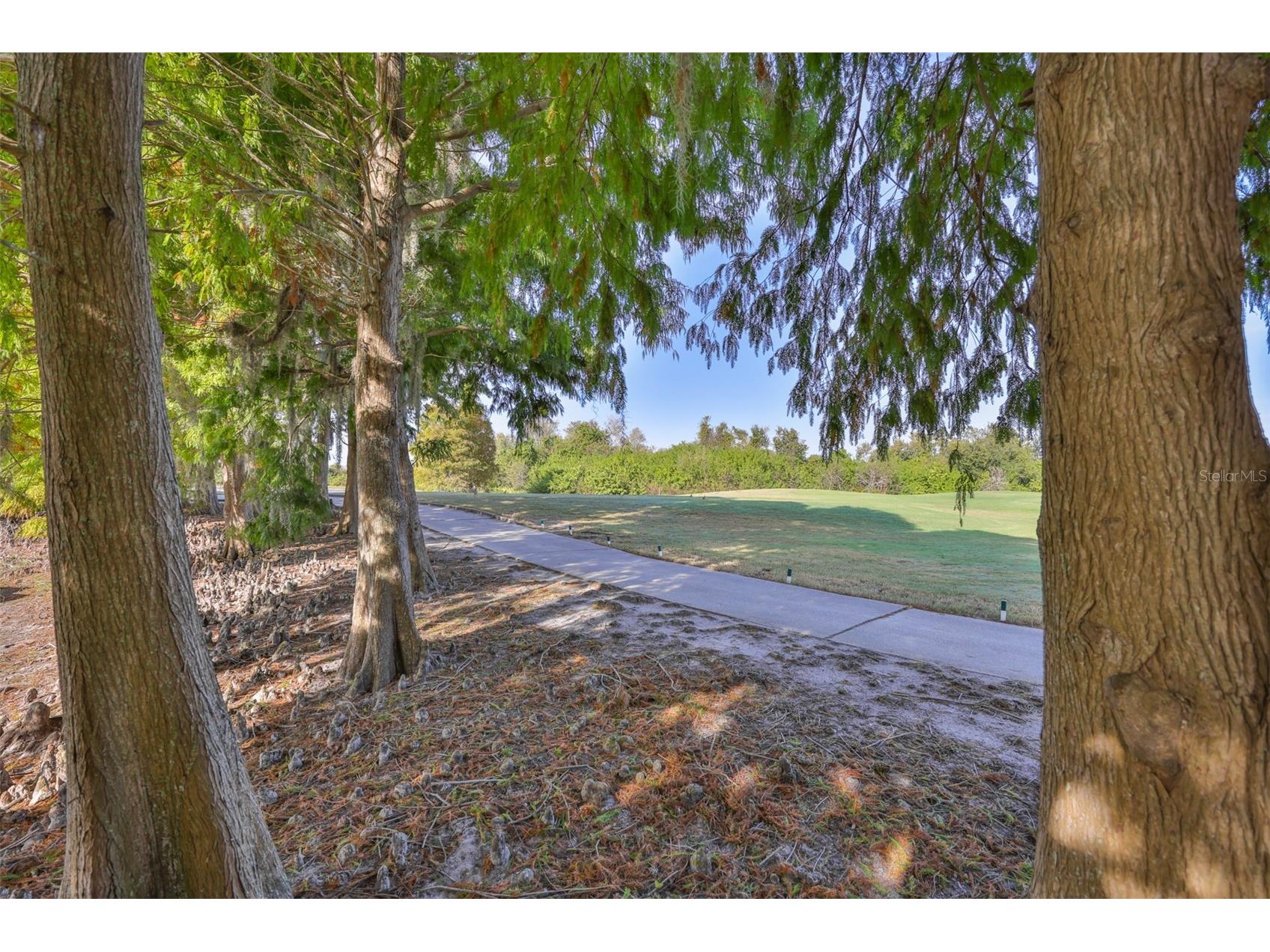 1417 Emerald Dunes Drive Sun City Center FL 33573 TB8454451 image43