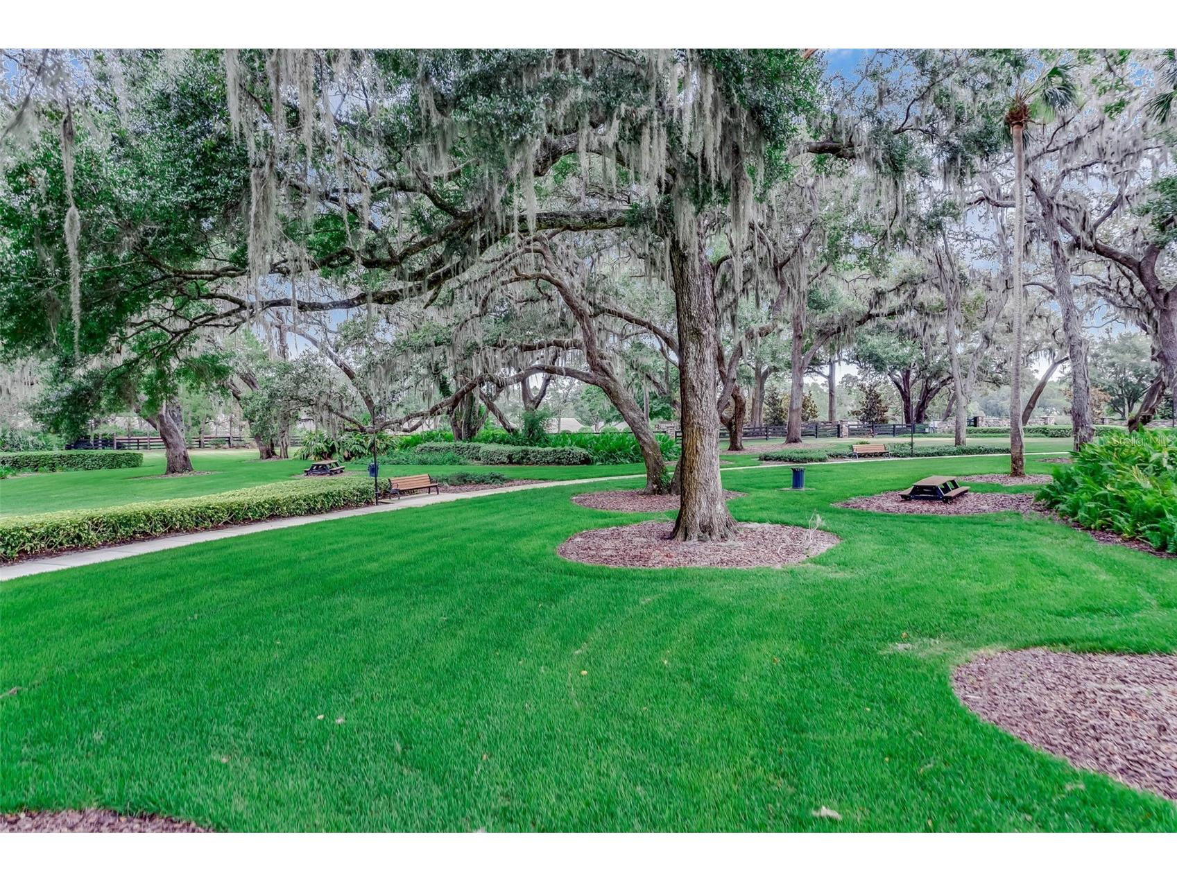 1417 Oil Lamp Cove Lake Mary FL 32746 O6421469 image56