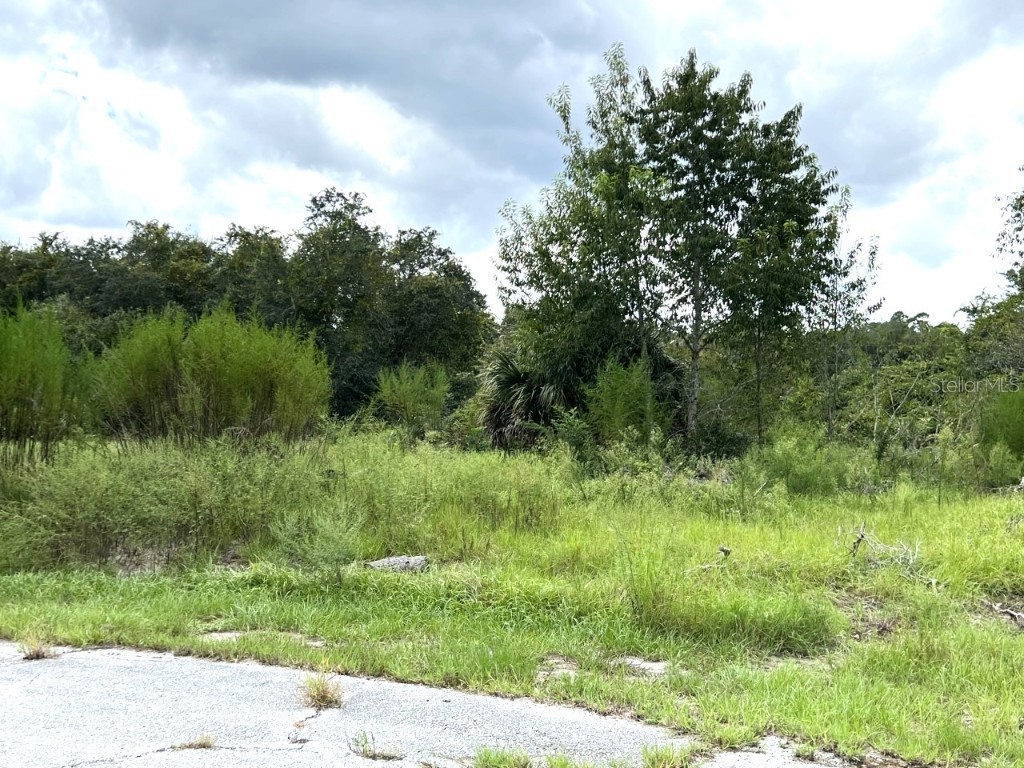 1417 Sebring Way Poinciana FL 34759 P4922705 image1