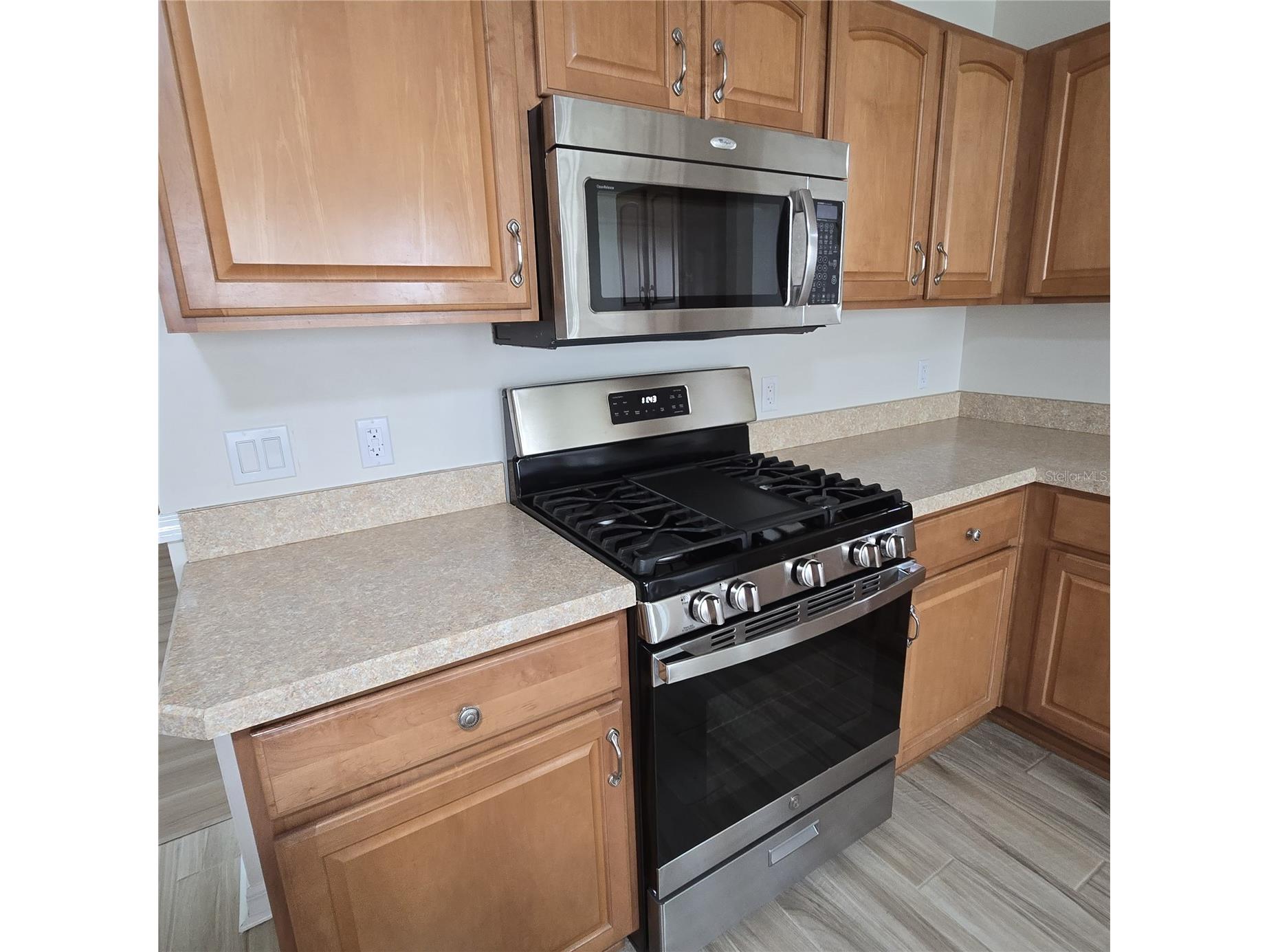 1417 Valparaiso Street The Villages FL 32162 R4911317 image13