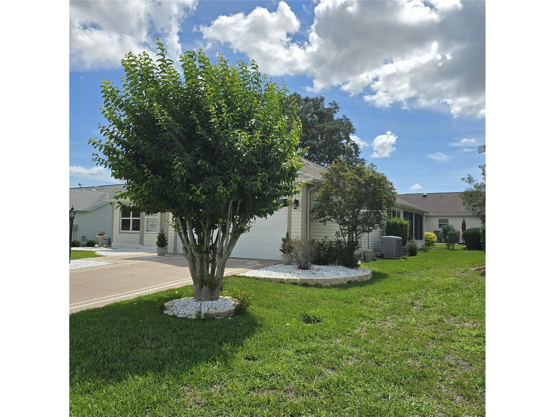 1417 Valparaiso Street The Villages FL 32162 R4911317 image3