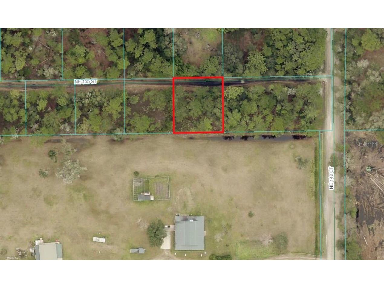 14174 NE 155th Street Fort Mc Coy FL 32134 OM685680 image1