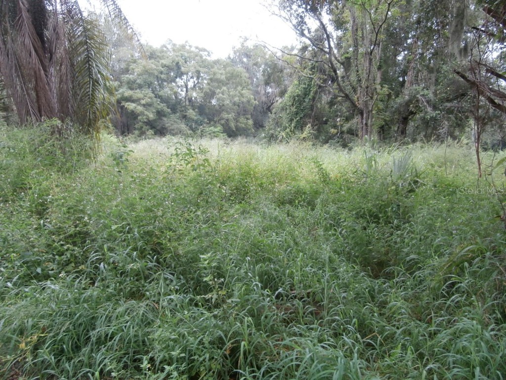 14174 SE 155th Street Weirsdale FL 32195 G5073767 image1