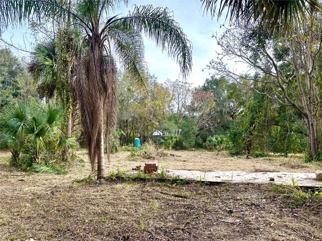 14174 SE 155th Street Weirsdale FL 32195 O6165513 image1