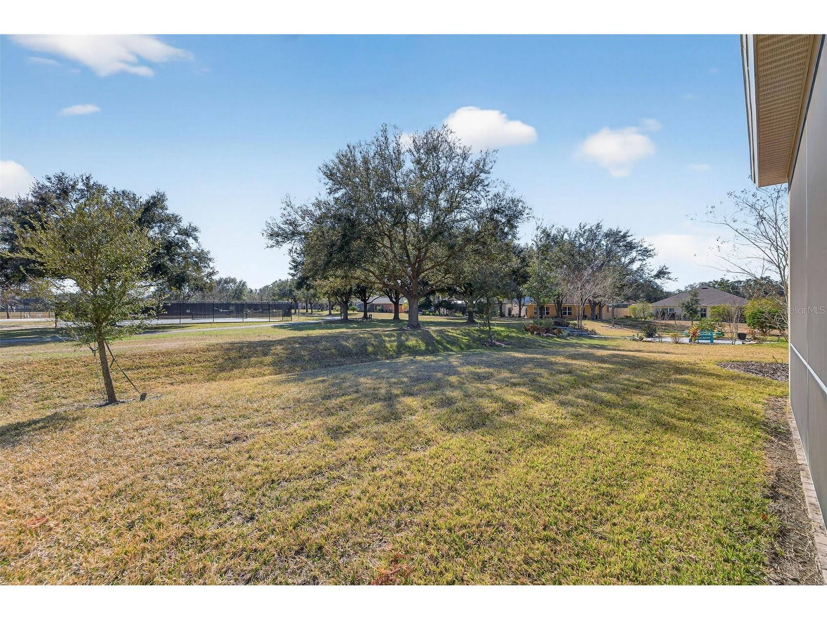 14174 Thoroughbred Drive Dade City FL 33525 TB8472028 image34