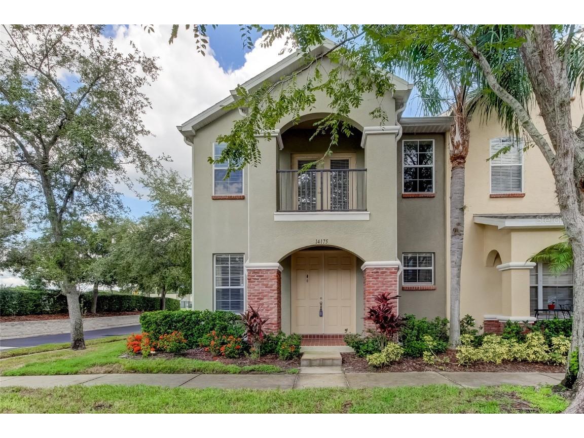 14175 Stilton Street Tampa FL 33626 T3552376 image1