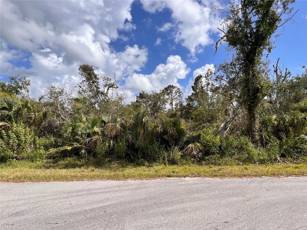 14179 Marlin Avenue Port Charlotte FL 33953 D6131138 image1