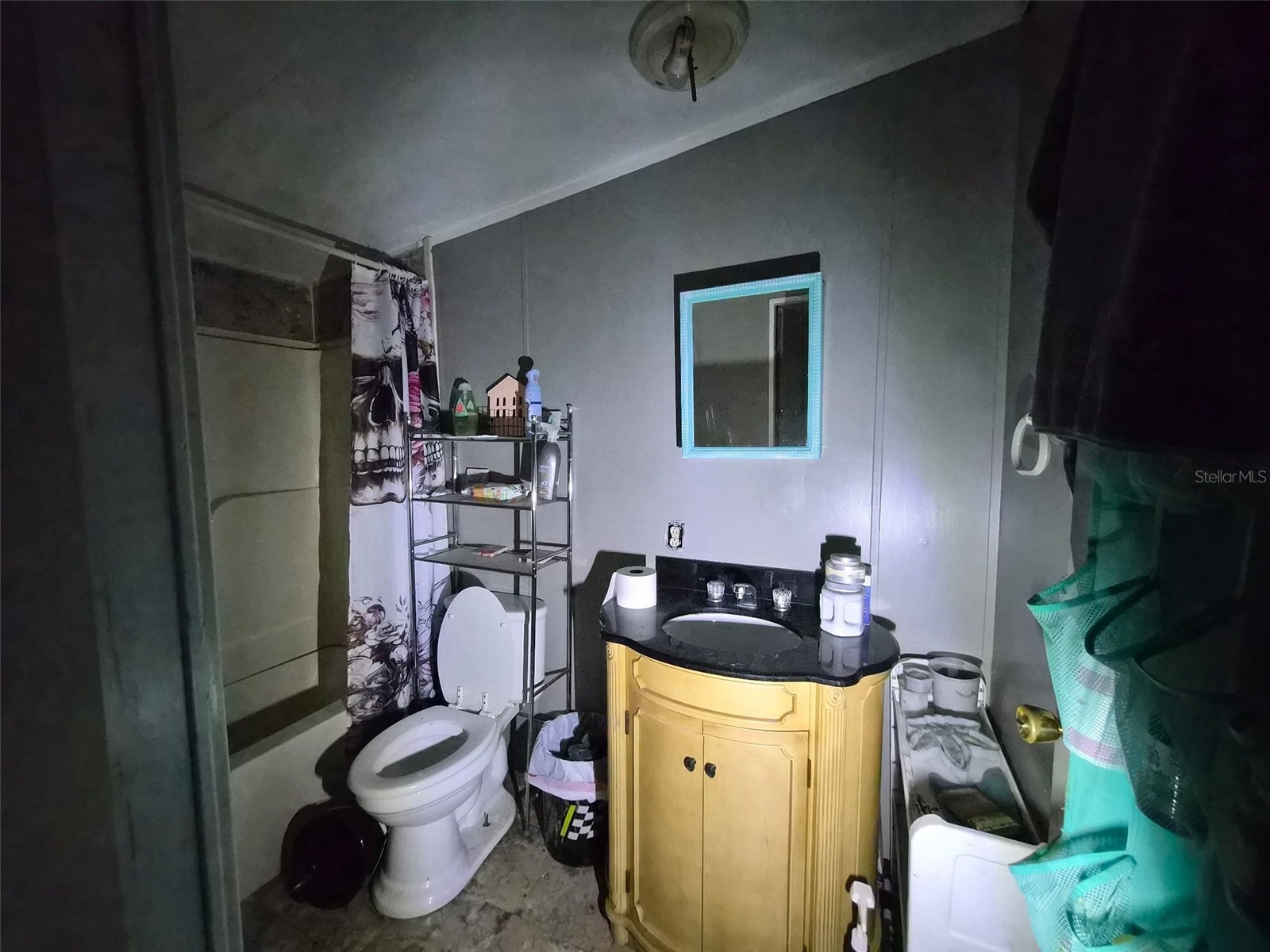 14179 NE 53rd Court Road Citra FL 32113 A4695571 image11