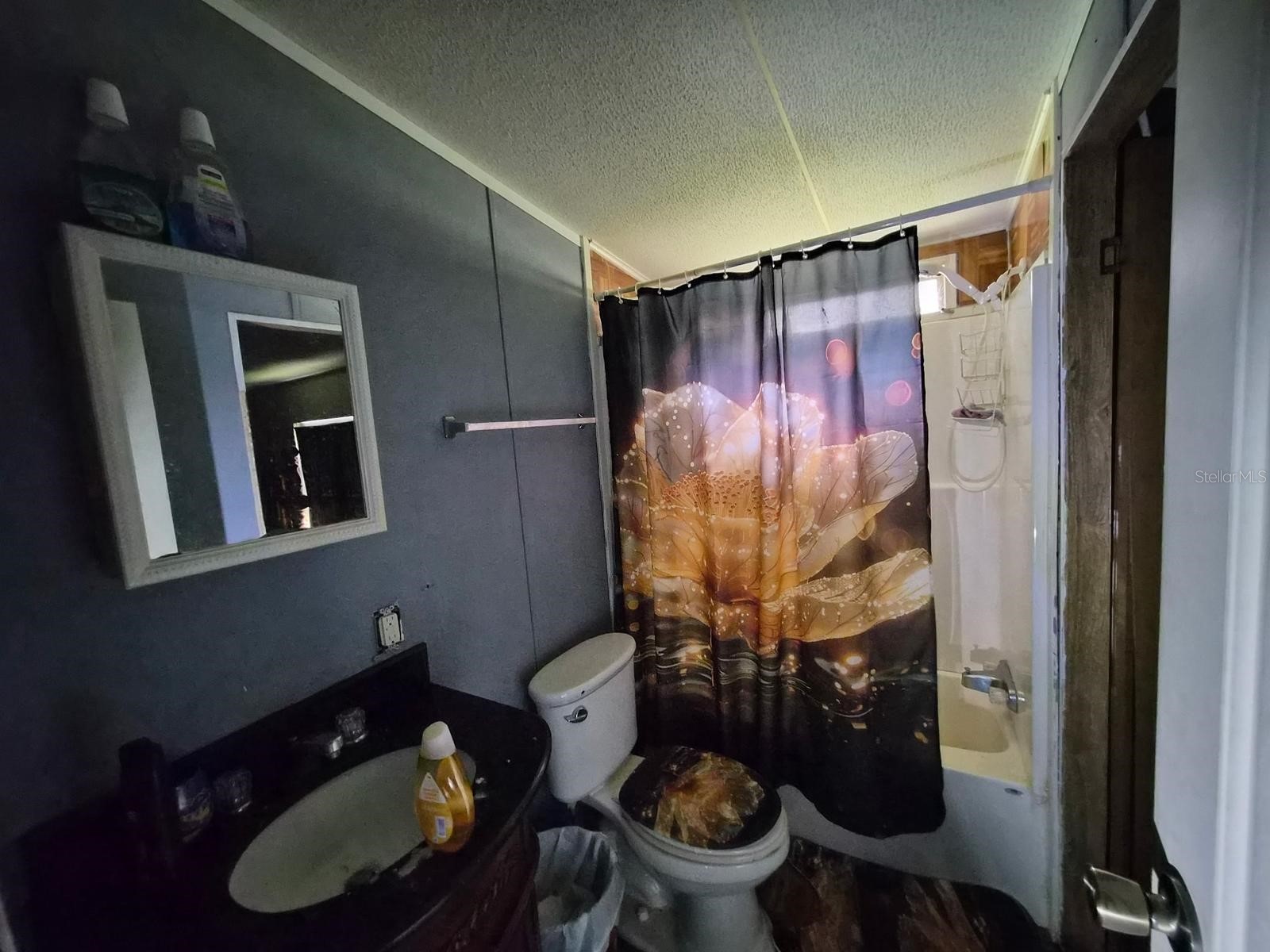 14179 NE 53rd Court Road Citra FL 32113 A4695571 image7