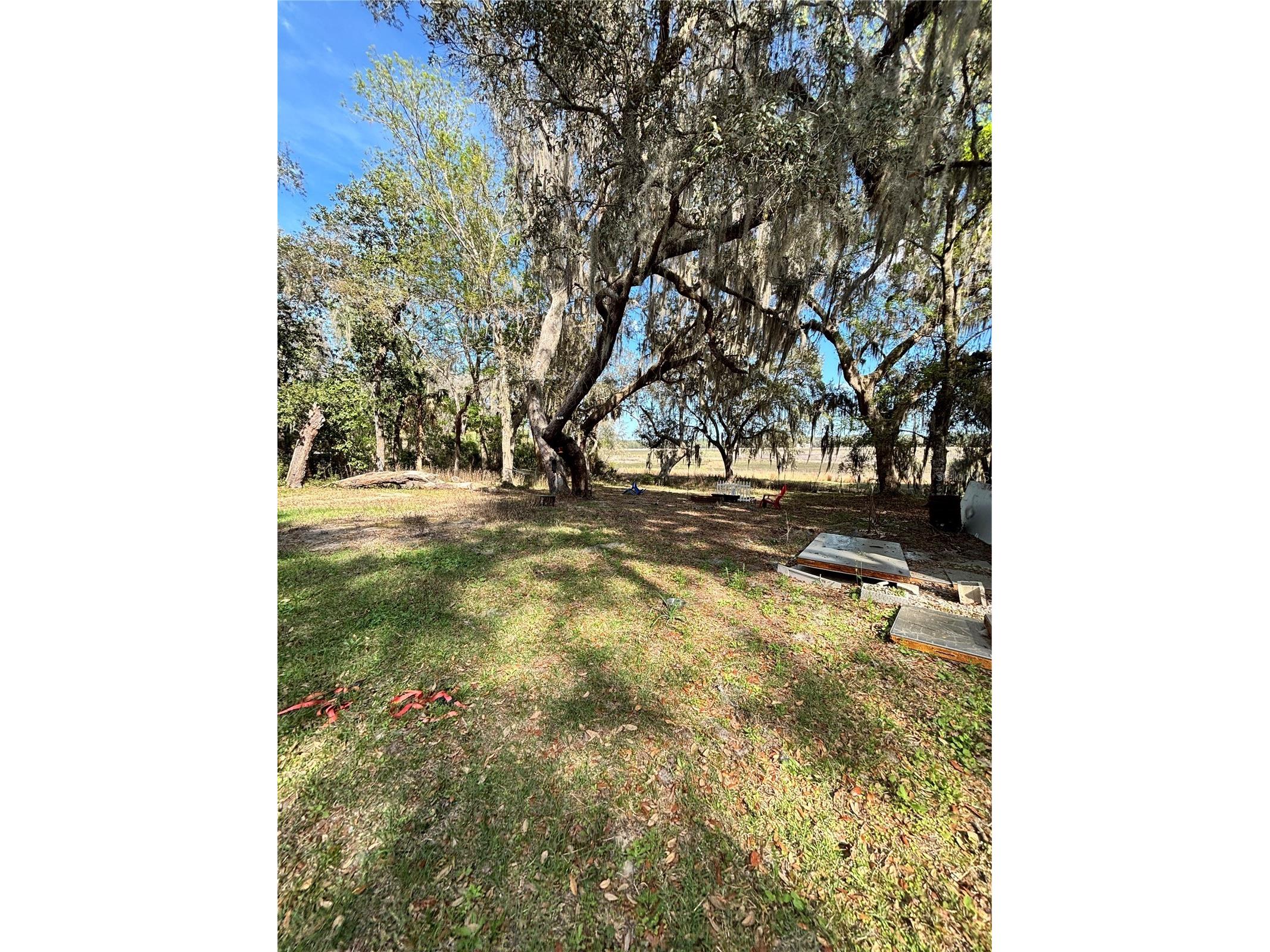 14179 NE 53rd Court Road Citra FL 32113 G5109456 image5