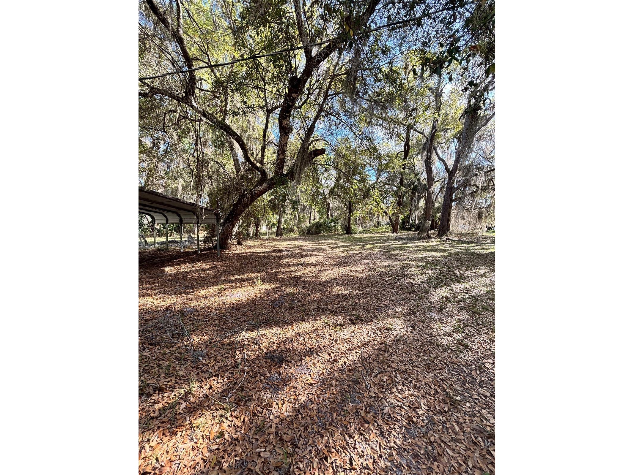 14179 NE 53rd Court Road Citra FL 32113 G5109456 image6