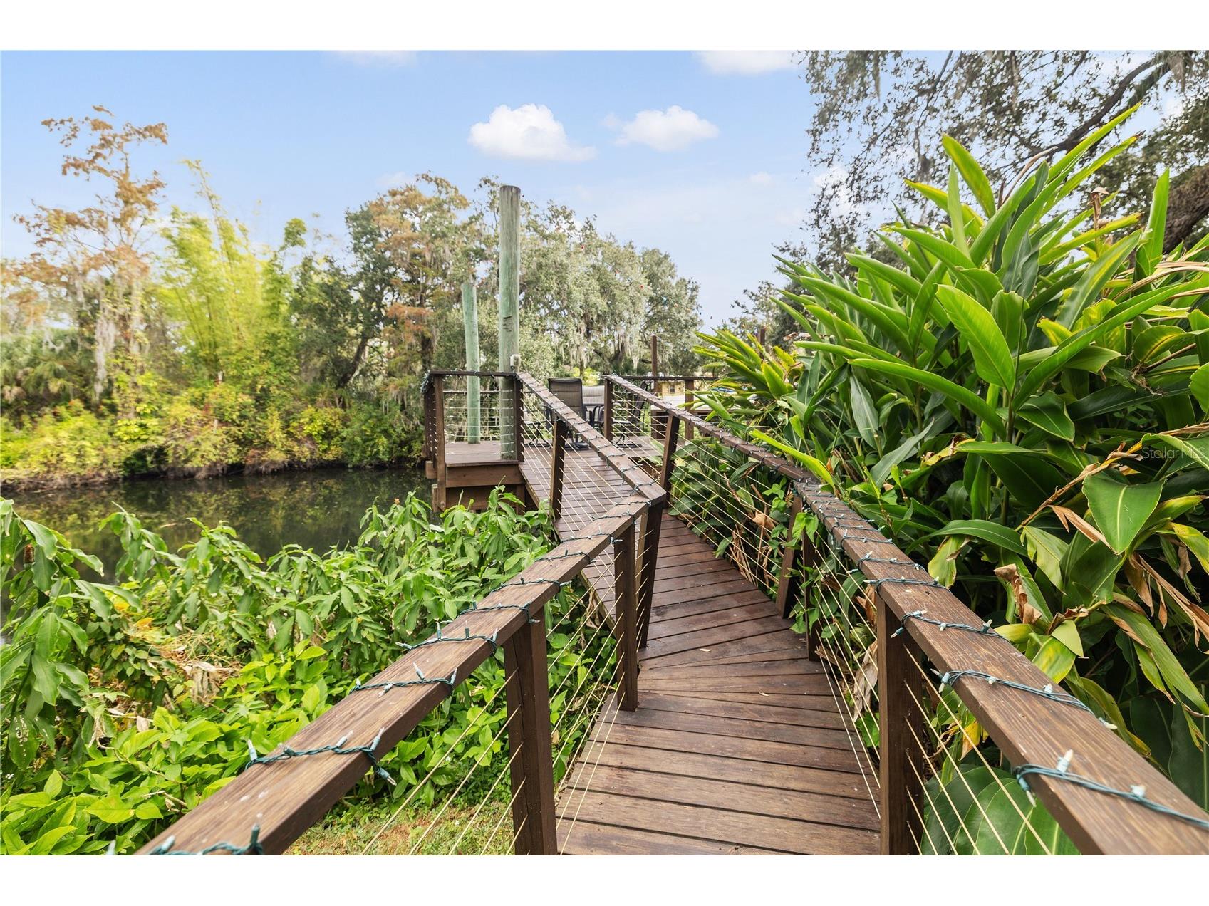 1418 E Park Circle Tampa FL 33604 - HILLSBOROUGH RIVER TB8512746 image30