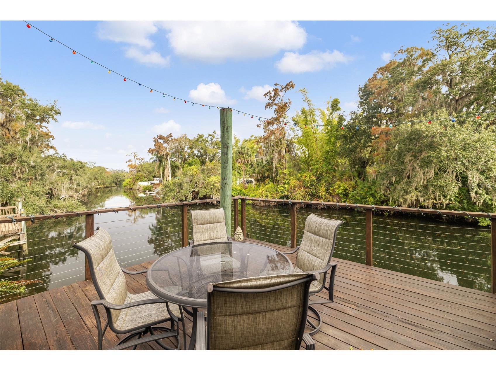1418 E Park Circle Tampa FL 33604 - HILLSBOROUGH RIVER TB8512746 image4