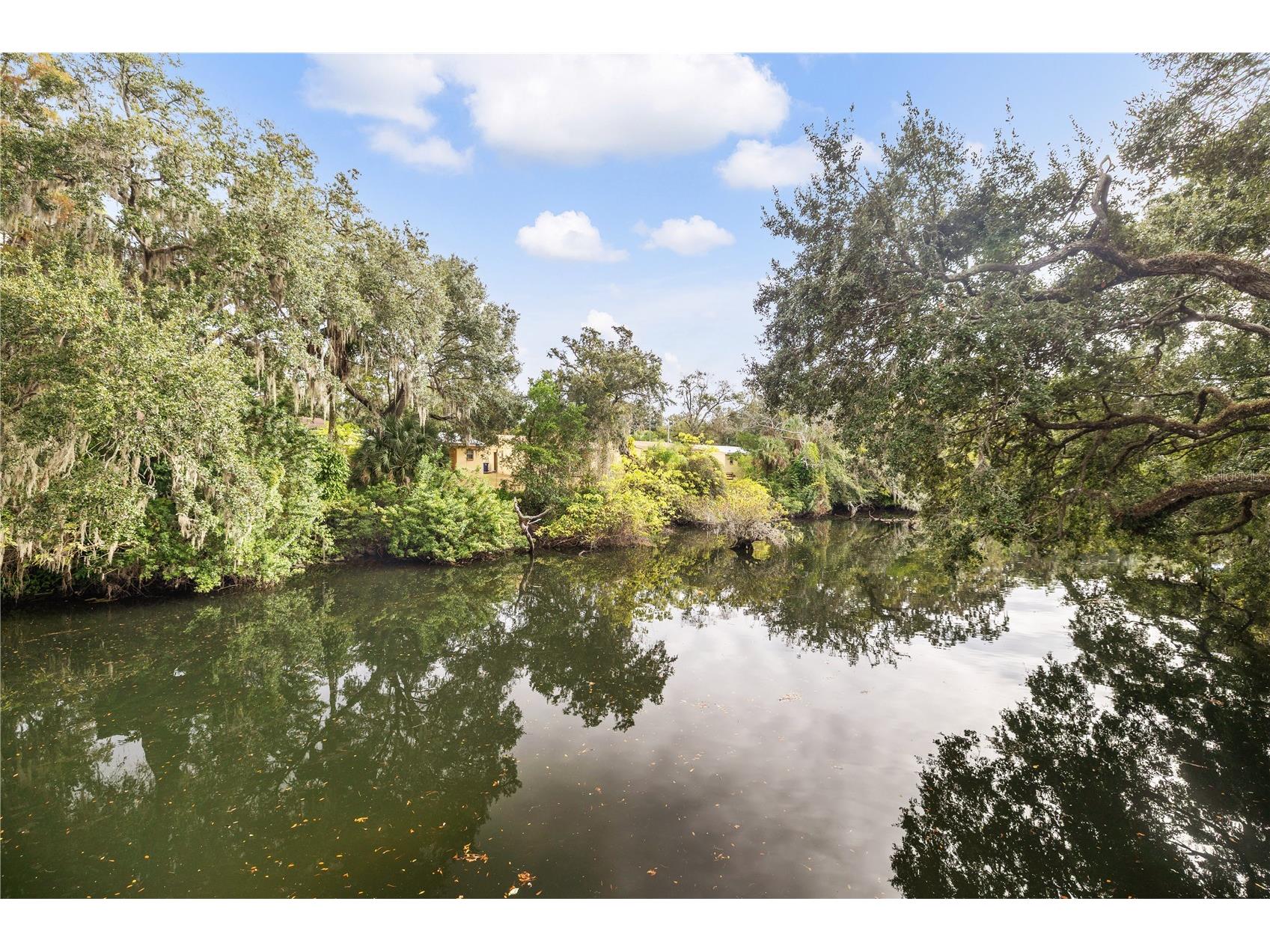 1418 E Park Circle Tampa FL 33604 - HILLSBOROUGH RIVER TB8512746 image43