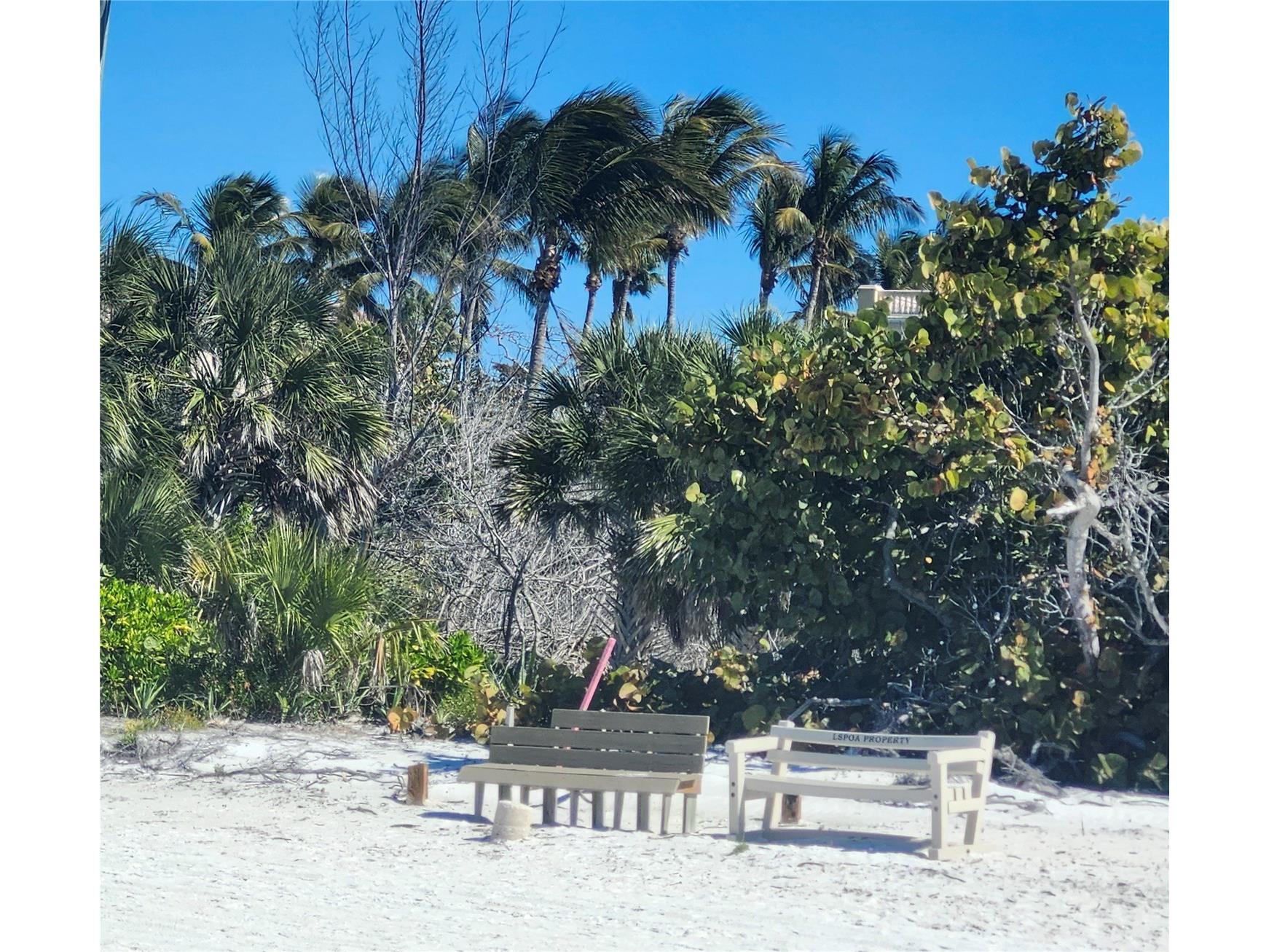 1418 John Ringling Parkway Sarasota FL 34236 - SARASOTA BAY A4675500 image41