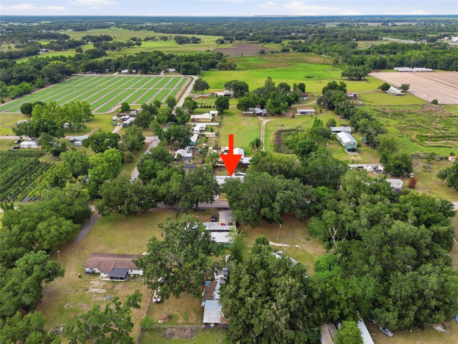 1418 Mcgee Road Plant City FL 33565 W7885676 image22