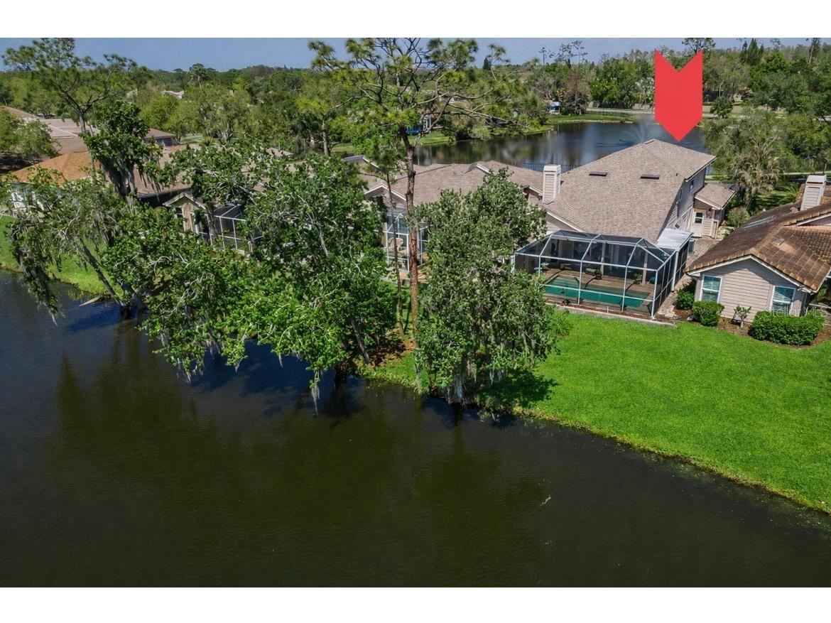 1418 Woodstream Drive Oldsmar FL 34677 TB8485836 image1
