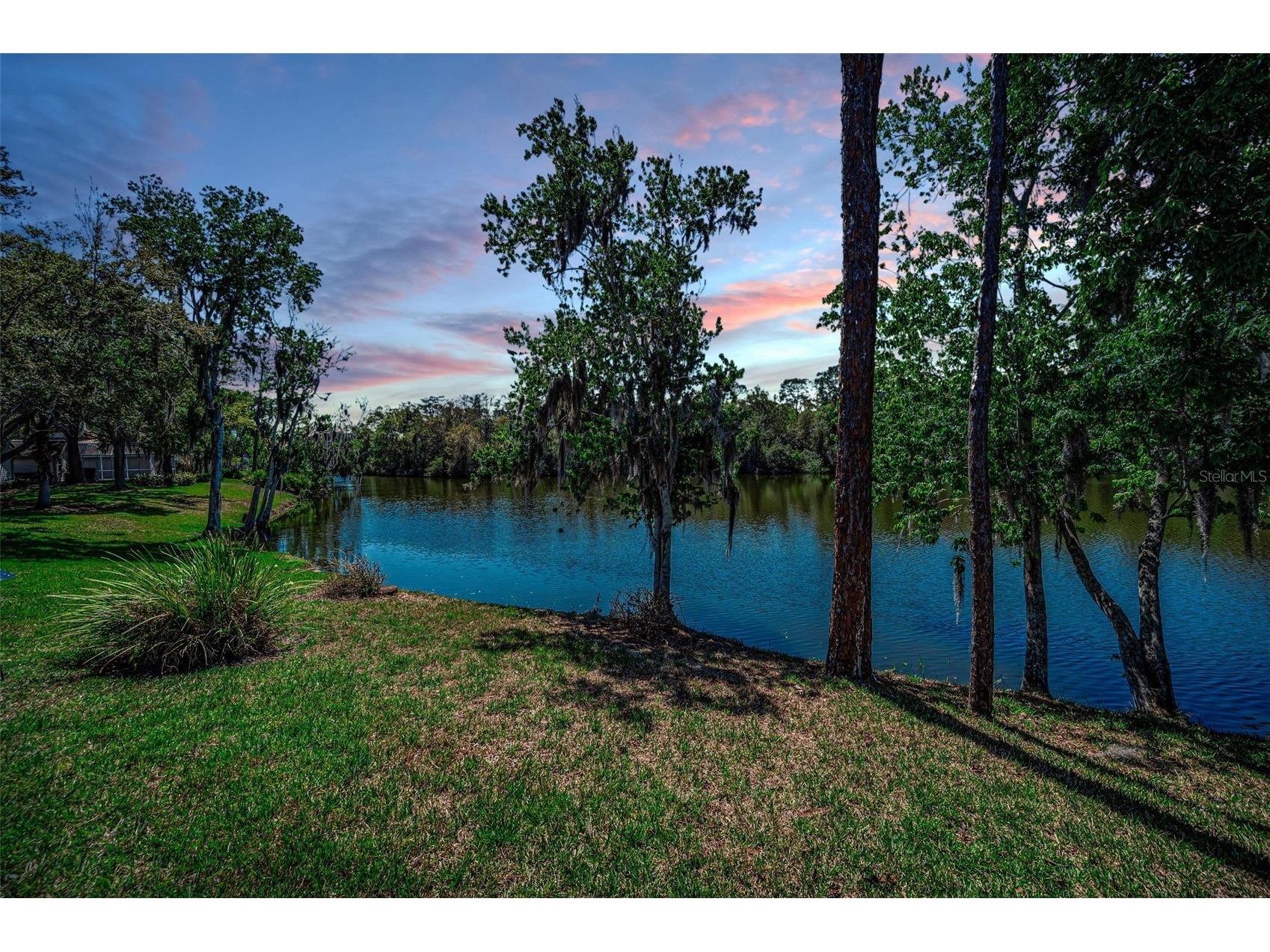 1418 Woodstream Drive Oldsmar FL 34677 TB8485836 image5