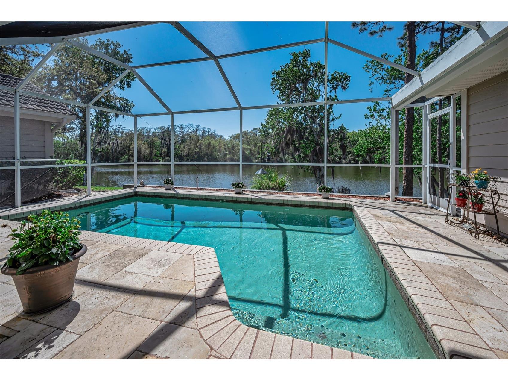 1418 Woodstream Drive Oldsmar FL 34677 TB8485836 image50