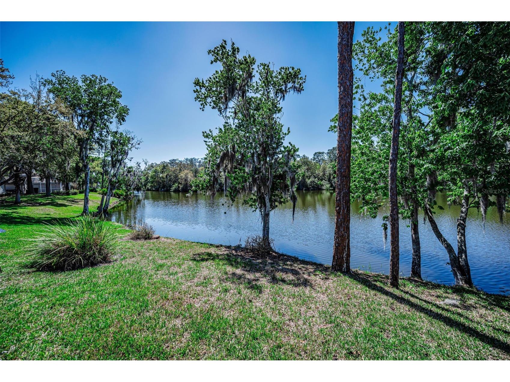 1418 Woodstream Drive Oldsmar FL 34677 TB8485836 image57
