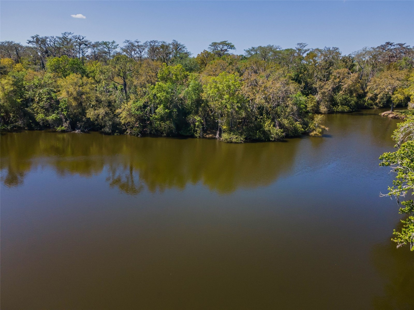 1418 Woodstream Drive Oldsmar FL 34677 TB8485836 image58