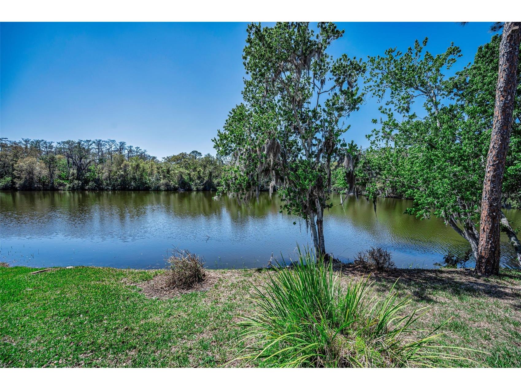 1418 Woodstream Drive Oldsmar FL 34677 TB8485836 image60
