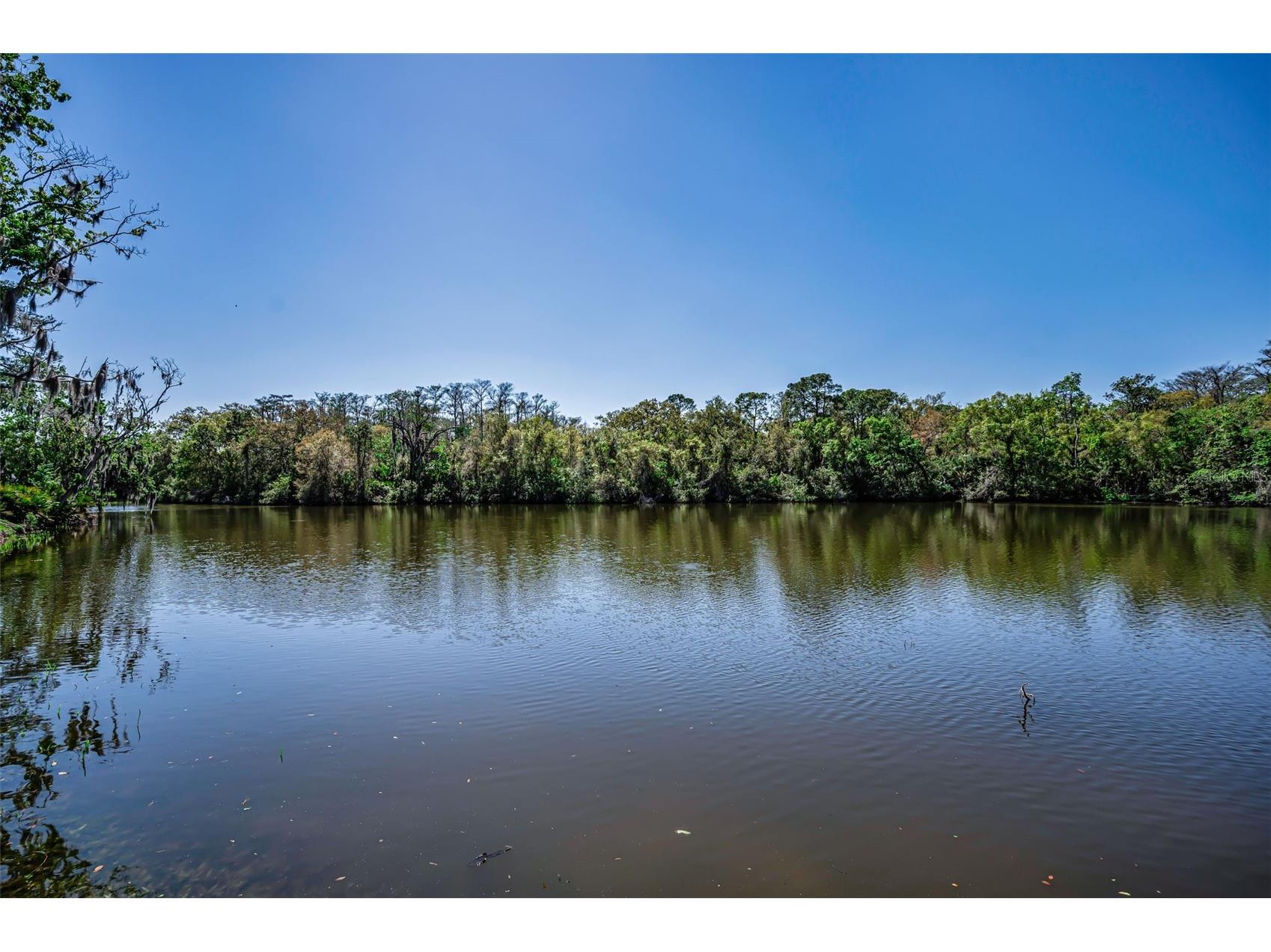 1418 Woodstream Drive Oldsmar FL 34677 TB8485836 image61