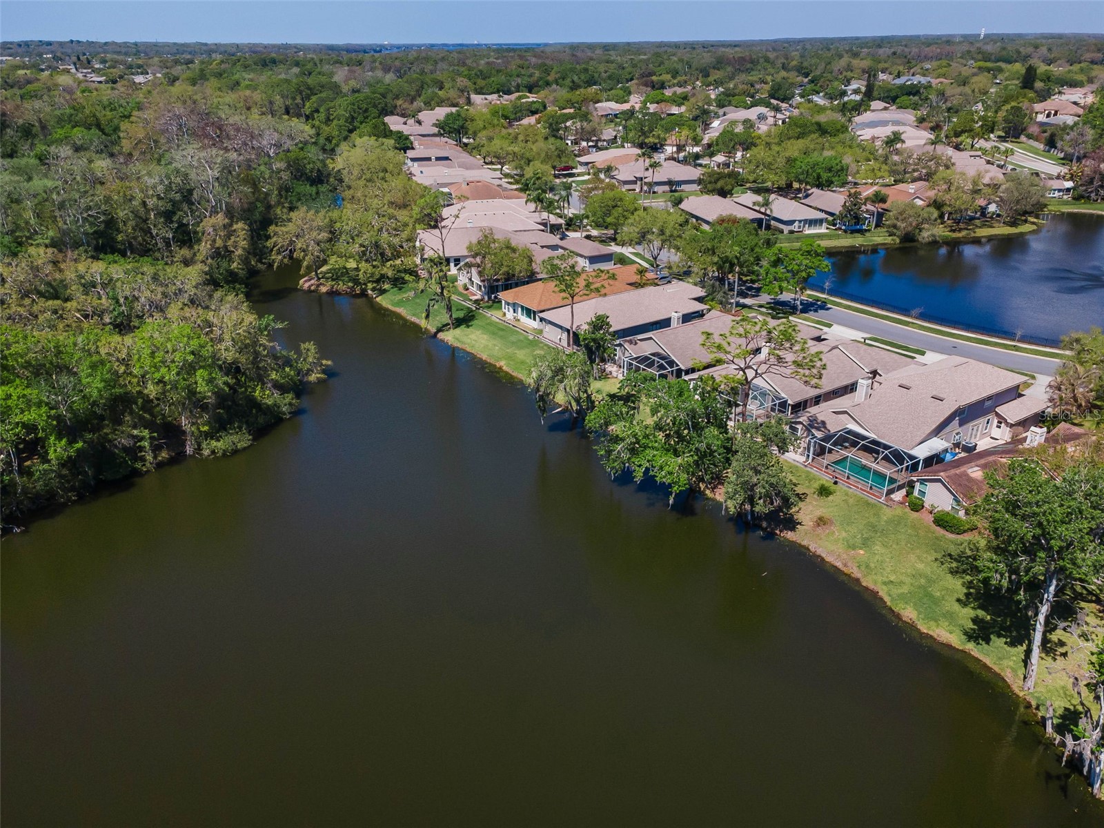 1418 Woodstream Drive Oldsmar FL 34677 TB8485836 image62
