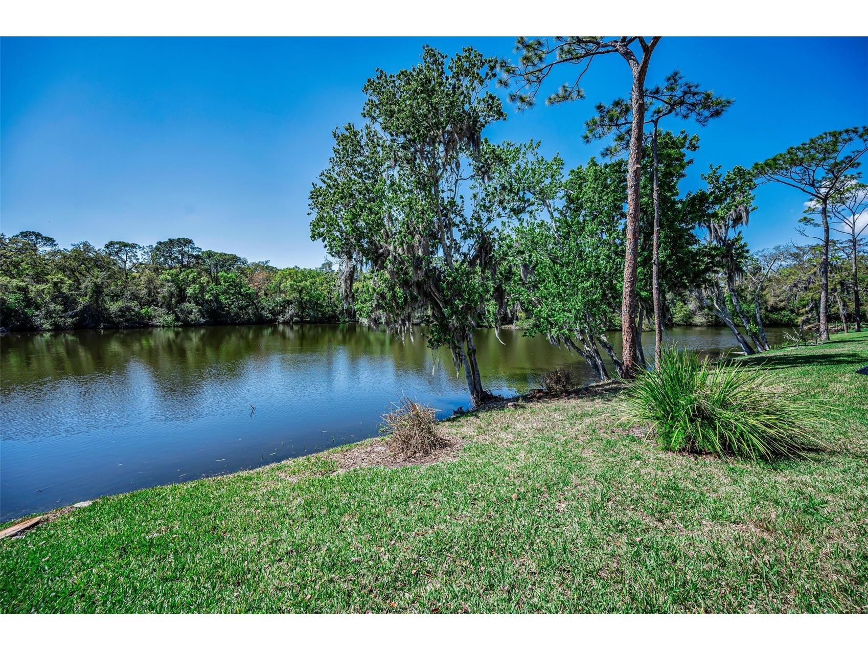 1418 Woodstream Drive Oldsmar FL 34677 TB8485836 image64