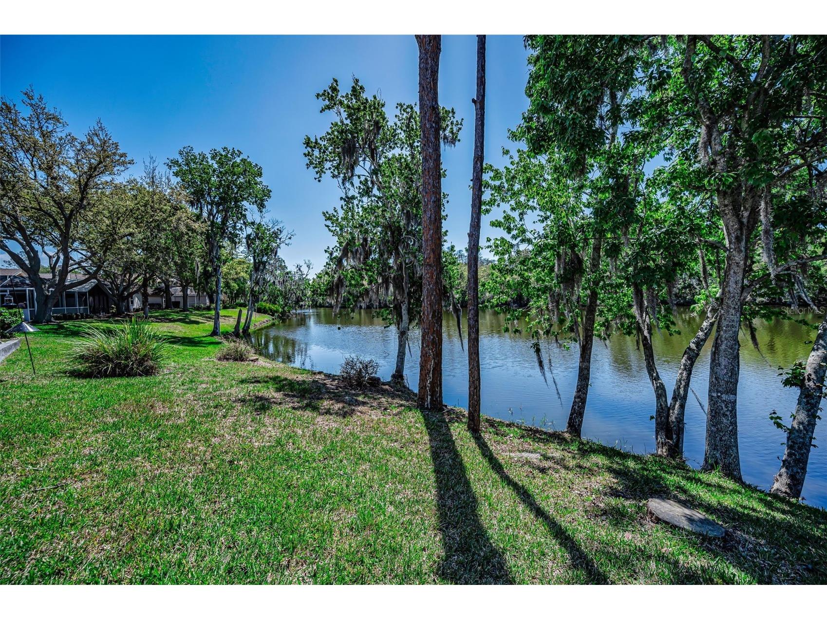 1418 Woodstream Drive Oldsmar FL 34677 TB8485836 image65