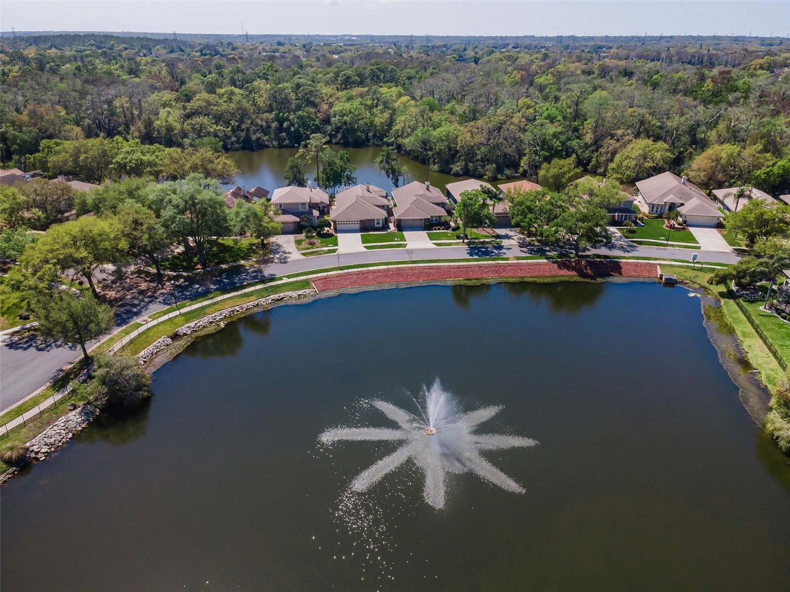 1418 Woodstream Drive Oldsmar FL 34677 TB8485836 image66