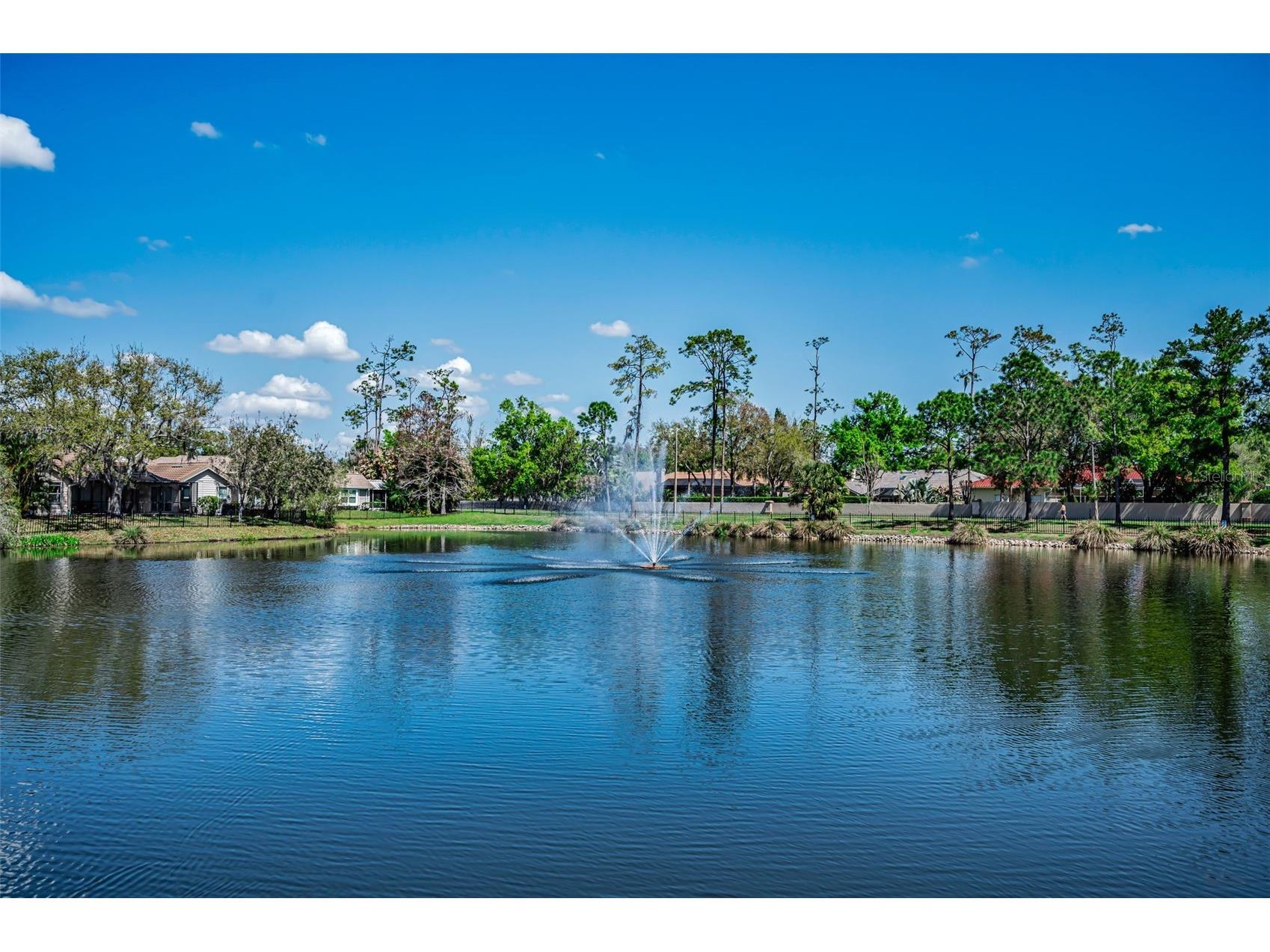 1418 Woodstream Drive Oldsmar FL 34677 TB8485836 image67