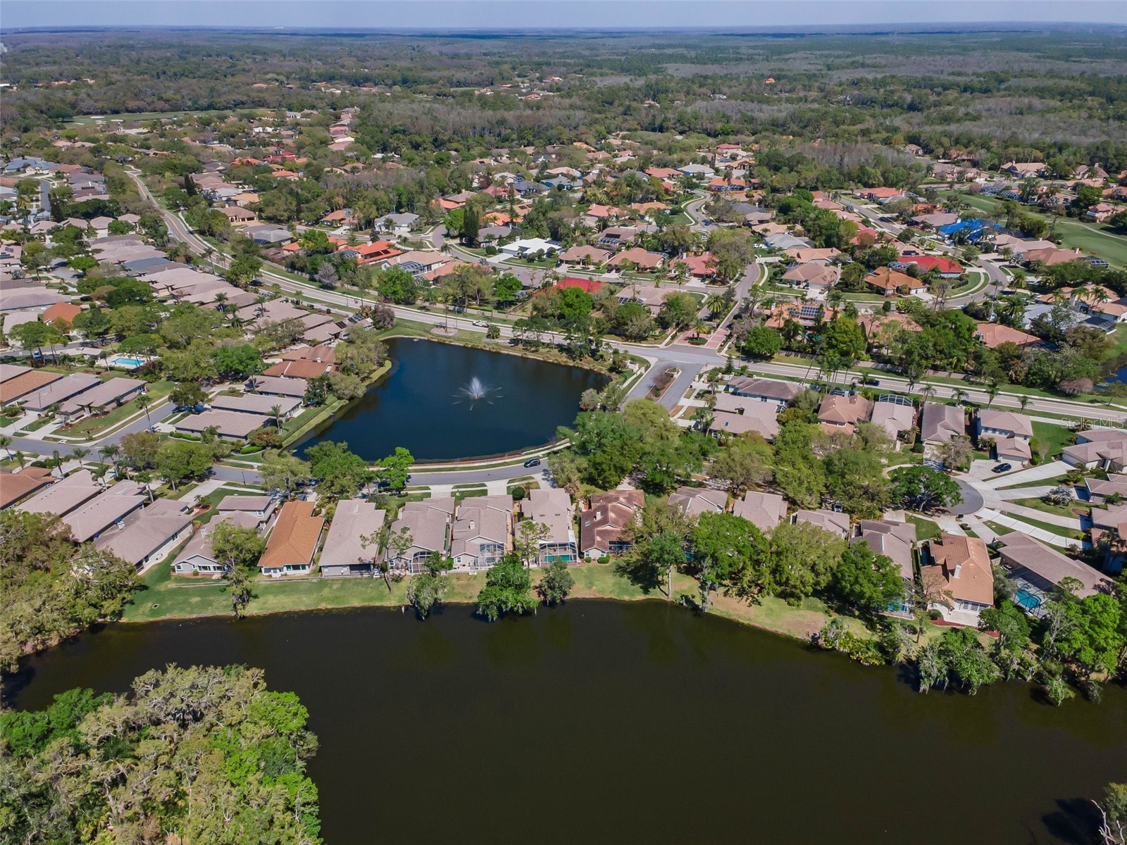 1418 Woodstream Drive Oldsmar FL 34677 TB8485836 image68