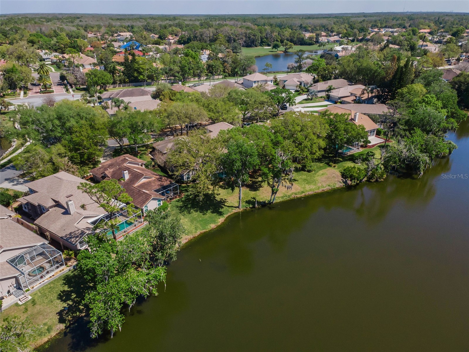 1418 Woodstream Drive Oldsmar FL 34677 TB8485836 image69