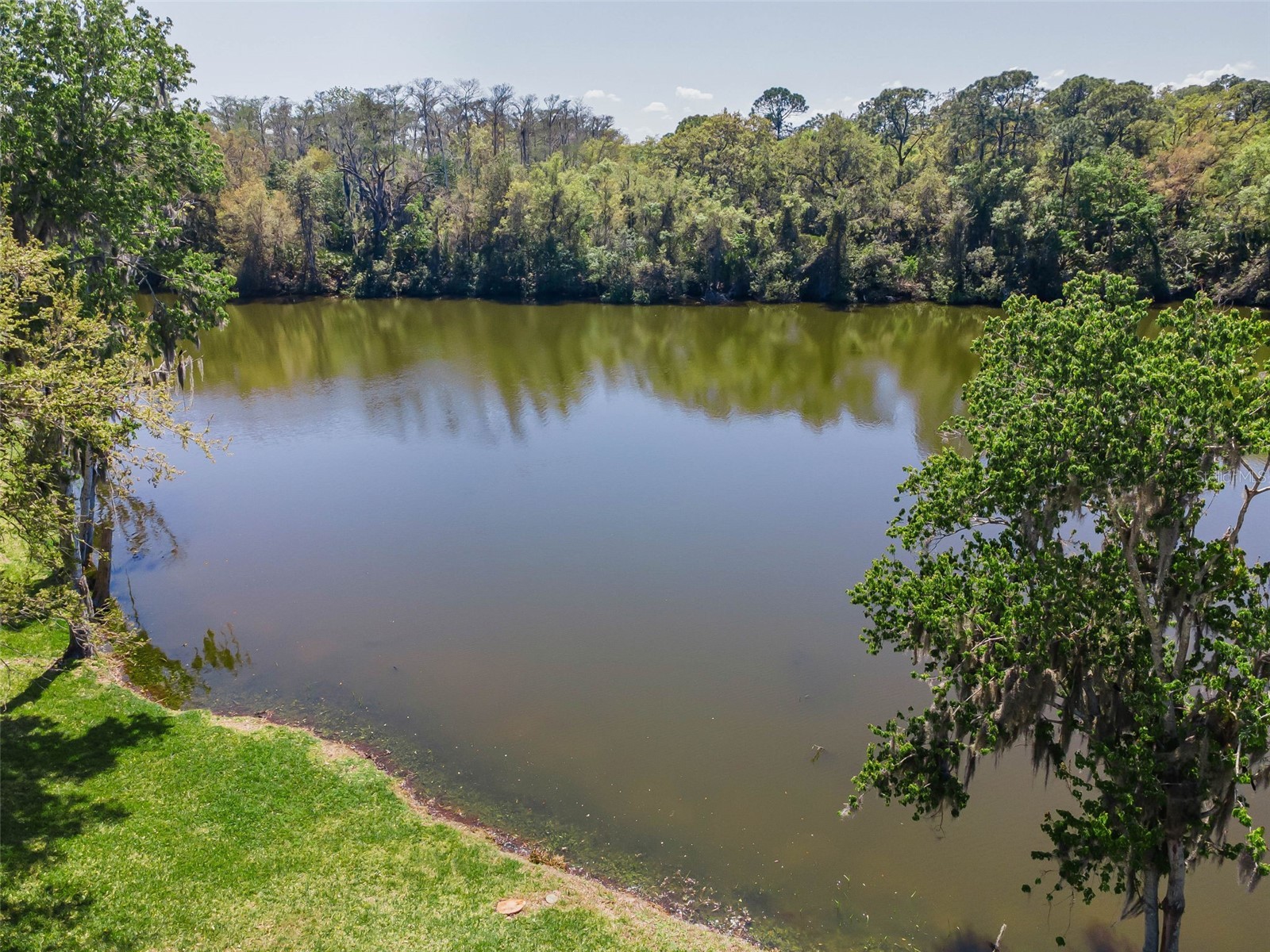 1418 Woodstream Drive Oldsmar FL 34677 TB8485836 image71