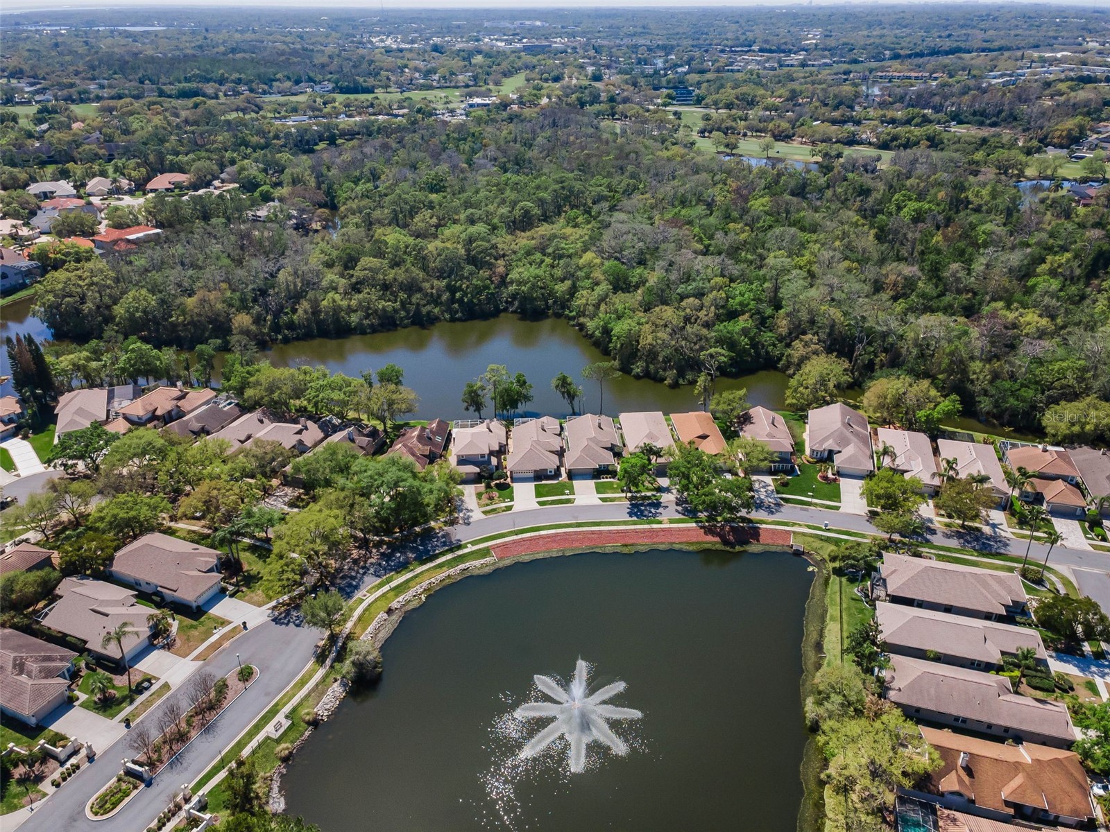 1418 Woodstream Drive Oldsmar FL 34677 TB8485836 image73