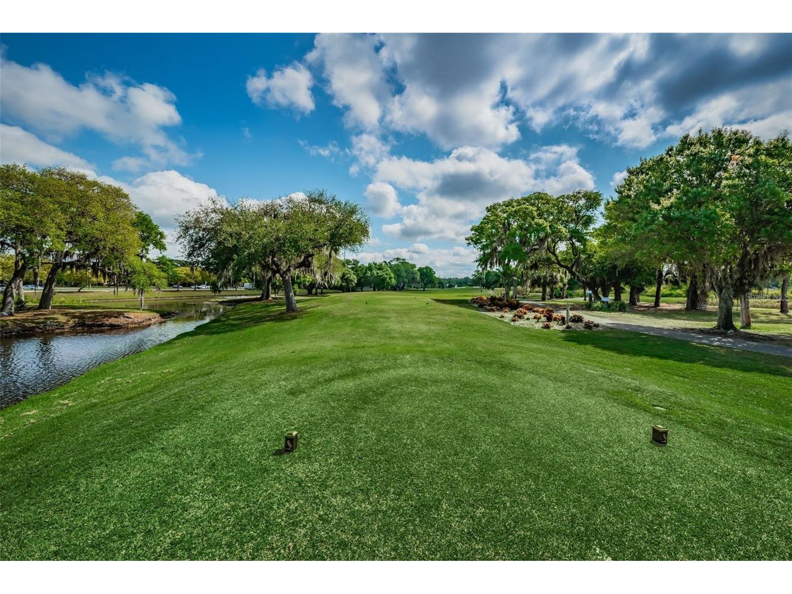 1418 Woodstream Drive Oldsmar FL 34677 TB8485836 image91