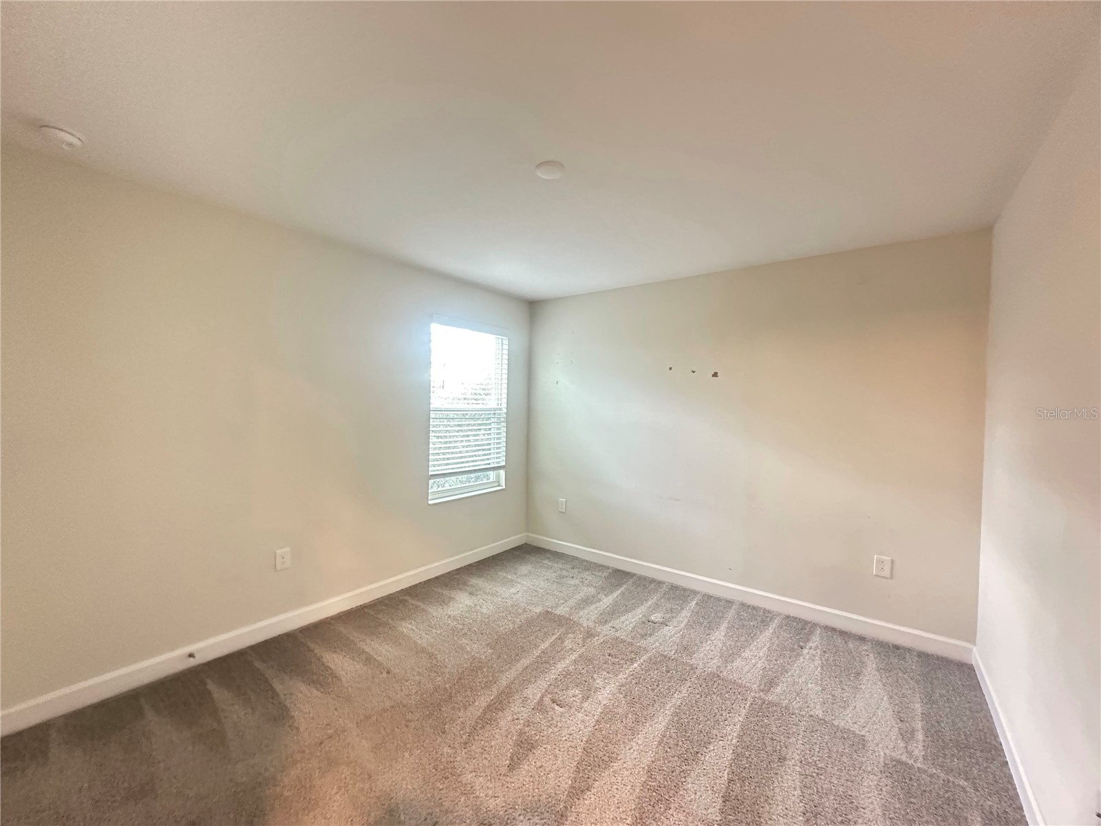 14180 Title Way Winter Garden FL 34787 O6421850 image8