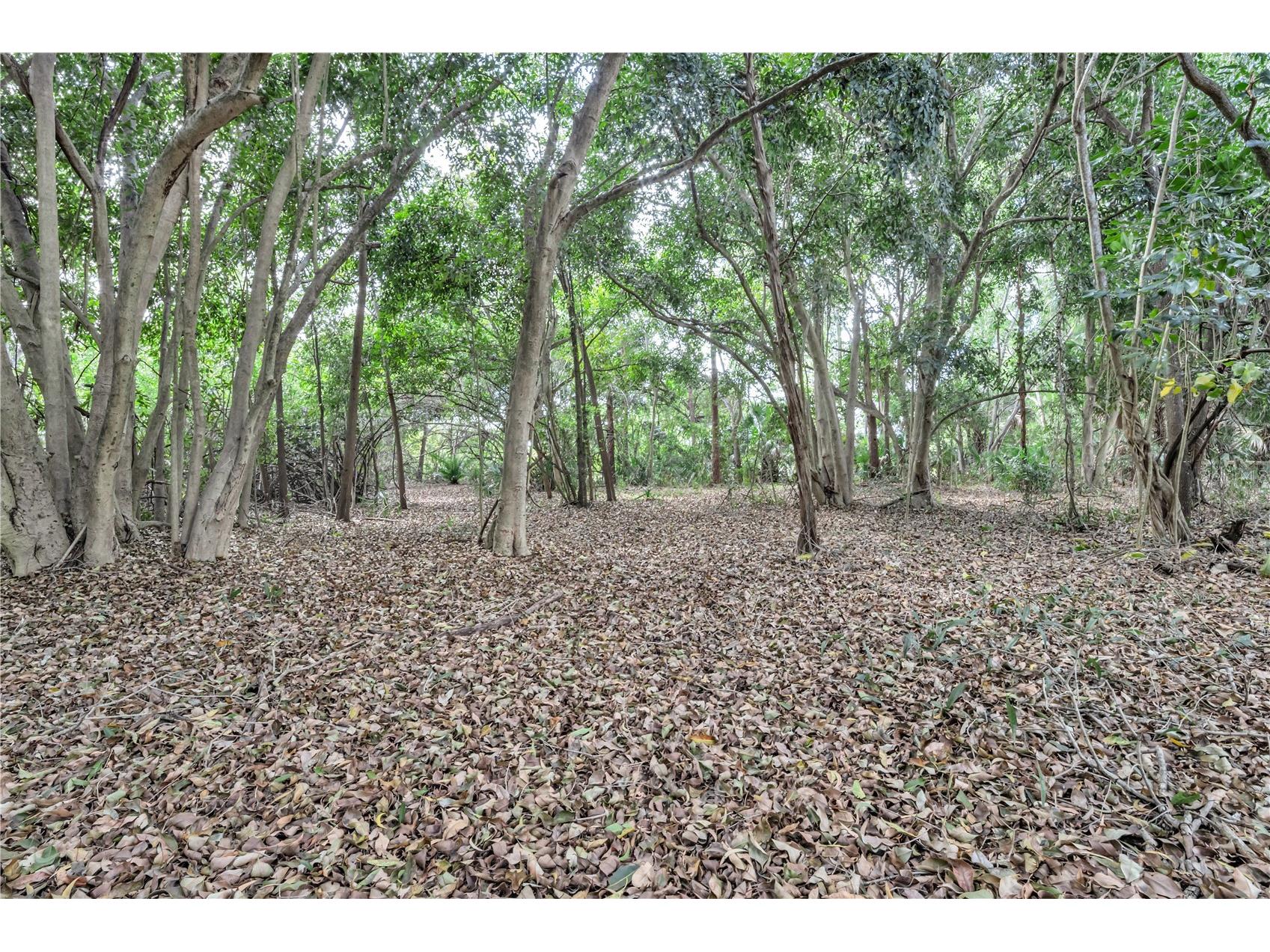 14181 35th Place N Loxahatchee FL 33470 O6383744 image16